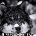  , , 53  -  13  2024    