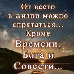  , , 52  -  21  2024