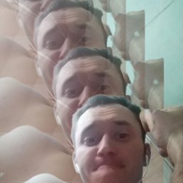 ���� ���� �����������, �������, 41 ��� - ��������� 13 ������ 2024