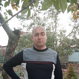 ���������, 46 ���, �������