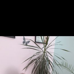  , , 66  -  16  2025