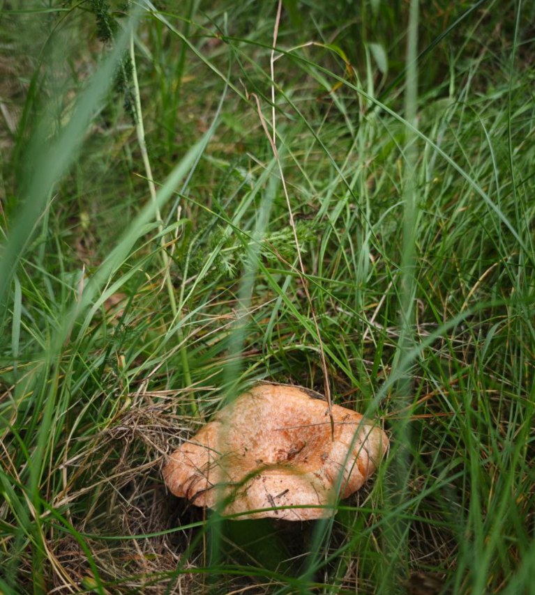 Ирина - 7 сентября 2025 в 18:46