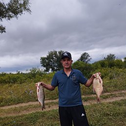 ������� ��������, ���������, 37 ���