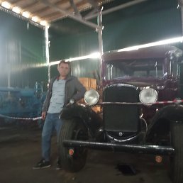 �����, 46 ���, ������