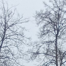 ����, ������, 62 ����