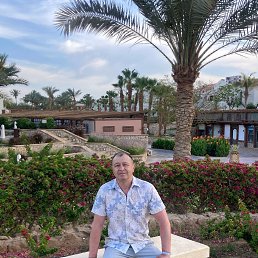 , 61, 