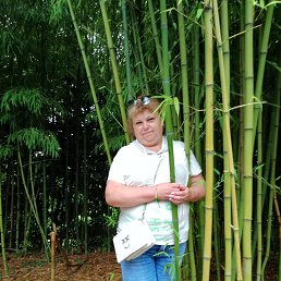 ���� ������, ���������, 56 ��� - ��������� 26 ������� 2023