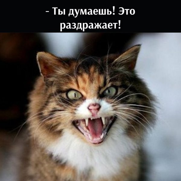��� ���� � ����� �� �� - 5 ����� 2026 � 22:00 - 3