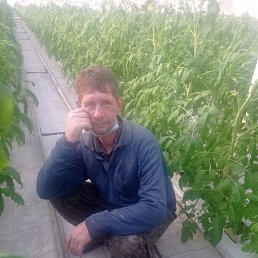 ���������, 45 ���, ����������