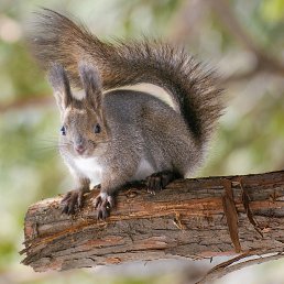 ���� �������, ������, 50 ��� - ��������� 20 ������ 2024