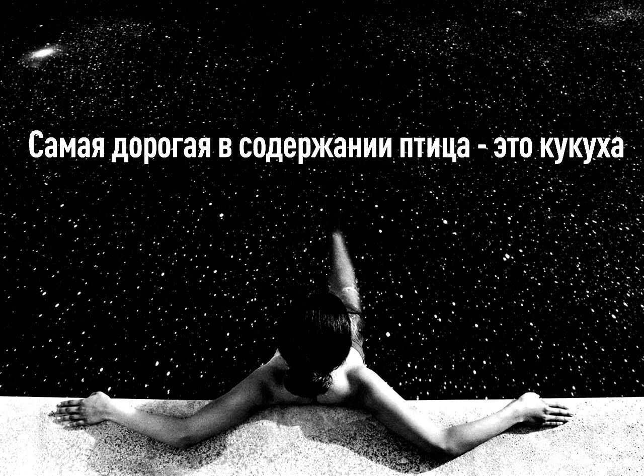 ***Victoria Viktorovna*** - 25  2023  04:03