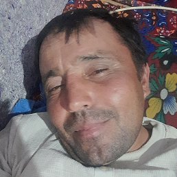 , 37, 