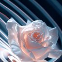 ���� �����, ���������, 66 ��� - ��������� 18 ��� 2025 � ������ ������ ��������