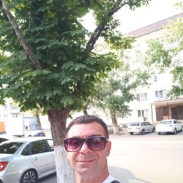 , 42, 