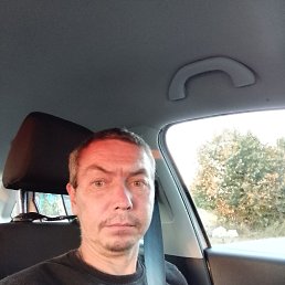 , 40, 