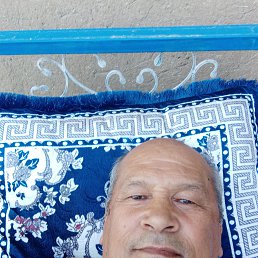 , 62, 