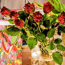 ���� ����, ������ - ��������� 11 ����� 2026 � ������ ������ ��������