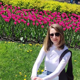 ���� �����, ������, 29 ��� - ��������� 6 ������ 2026