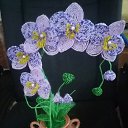 ���� Alena, �������, 56 ��� - ��������� 3 ����� 2025 � ������ ���� ��������� ����