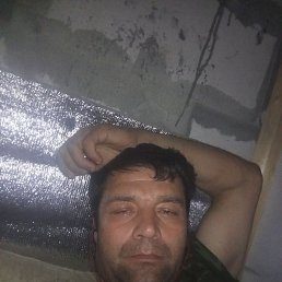 , 42, 