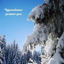 ���� �������@, �������� - ��������� 17 ������� 2026 � ������ ������ ��������