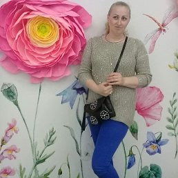 Netakaya, ��������