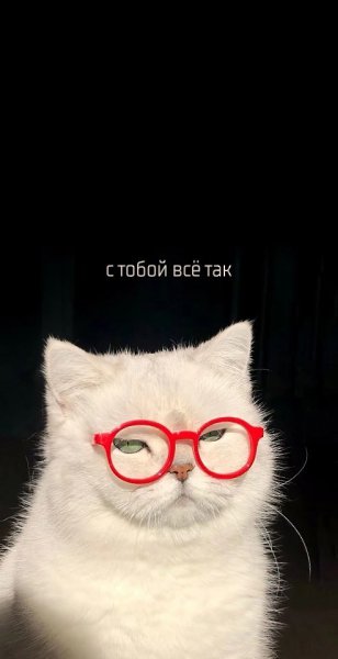  ,    - 2