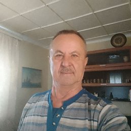 , 66 , 