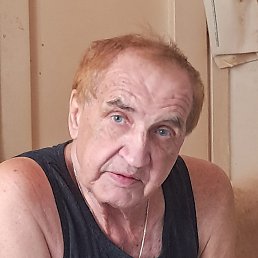 , 66, 
