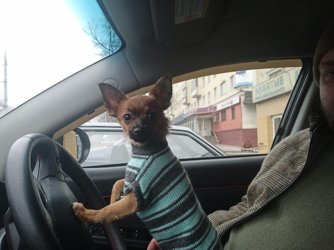 ������ - 19 ������ 2025 � 07:58