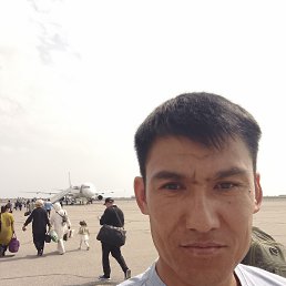 , 37, 