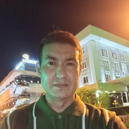, 29, 