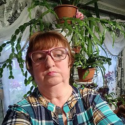 Gala, ���, 65 ���