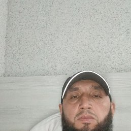, 41, 