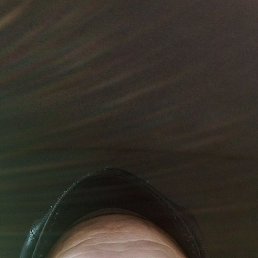 , 47, 