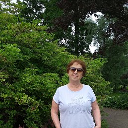 ���� ������, ����, 37 ��� - ��������� 8 ������� 2025