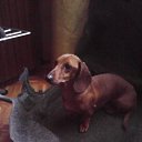 ���� ������, �����������, 55 ��� - ��������� 5 ������ 2024 � ������ ���� ����������