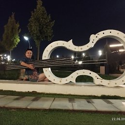 ����, �������, 41 ���