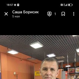 , 41, 