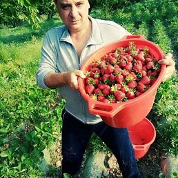 ���� ������, ������, 51 ��� - ��������� 26 ������� 2025