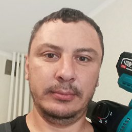 �������, ����������, 41 ���