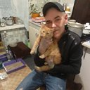 ���� ����, �����, 46 ��� - ��������� 31 ����� 2024 � ������ ���� ����������