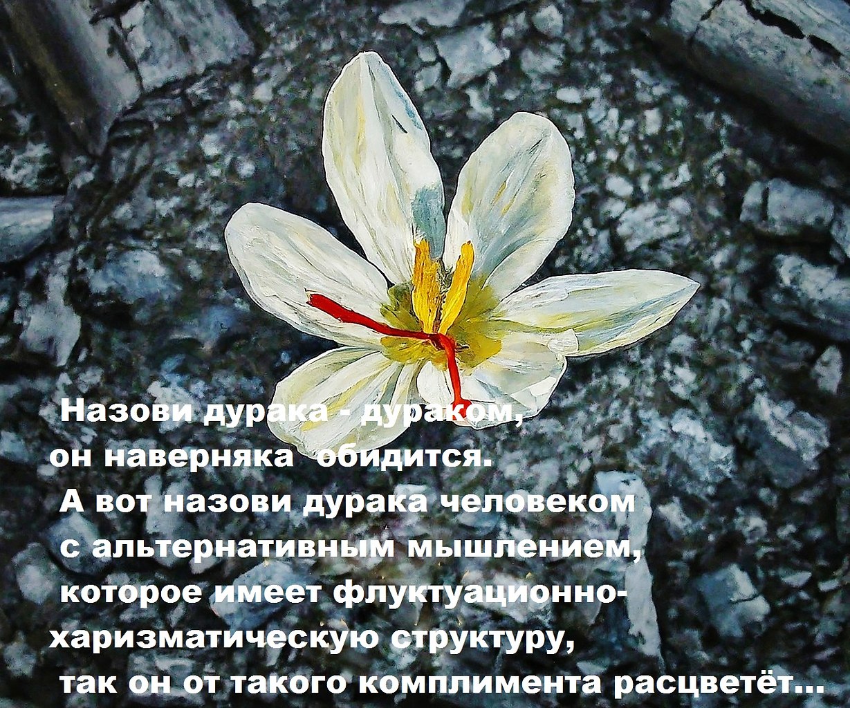 " ") - 9  2024  10:45