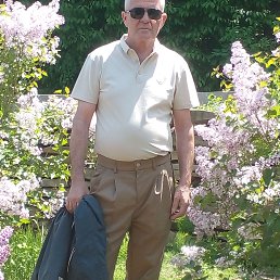 ����, 57 ���, �����������