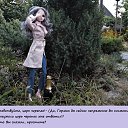���� ������, ������������, 55 ��� - ��������� 17 ������ 2023 � ������ ���� ����������