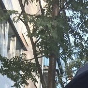 , 35 , 