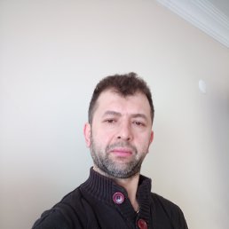 haytu, 41, 