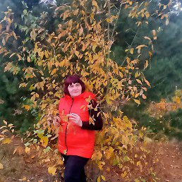 �������, �����-���������, 55 ���