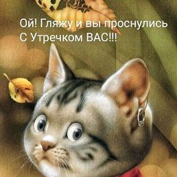 �������, ������, 62 ����