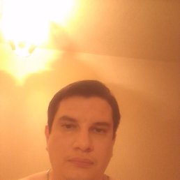  , , 37  -  4  2024